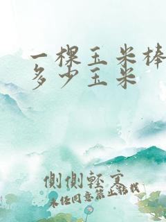 一棵玉米棒子出多少玉米