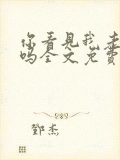 你看见我老公了吗全文免费阅读