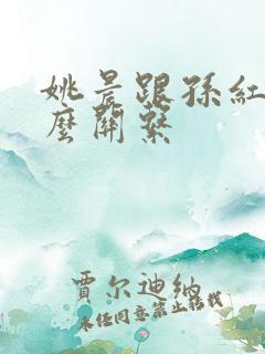 姚晨跟孙红雷什么关系