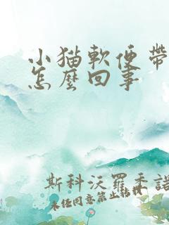 小猫软便带血是怎么回事