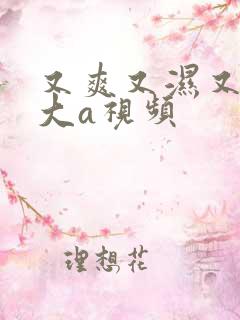 又爽又湿又紧又大a视频