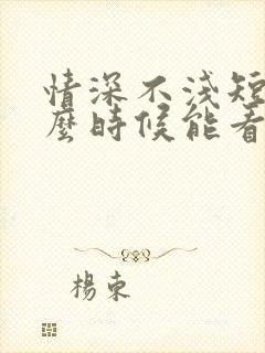 情深不浅短剧什么时候能看到结局