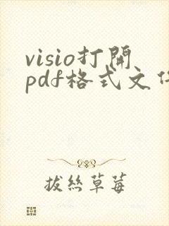 visio打开pdf格式文件