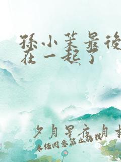 孙小茉最后和谁在一起了