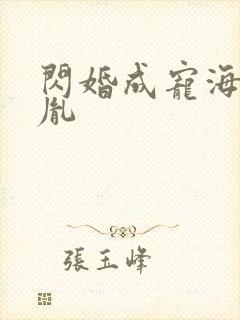 闪婚成宠海彤战胤