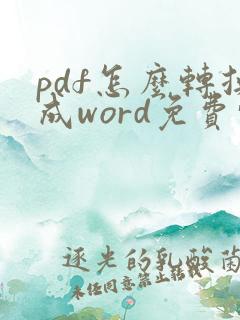 pdf怎么转换成word免费转