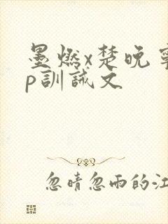 墨燃x楚晚宁sp训诫文