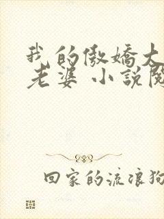 我的傲娇大小姐老婆 小说阅读