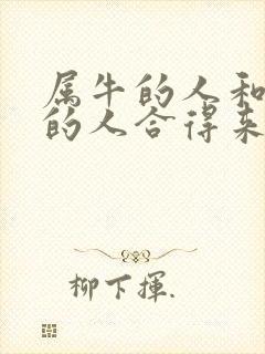 属牛的人和属兔的人合得来吗