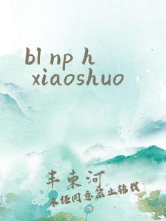 bl np h xiaoshuo