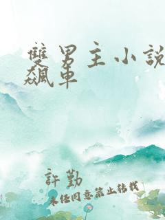 双男主小说高速飙车