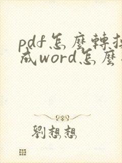pdf怎么转换成word怎么排版