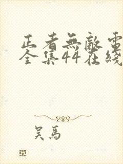 正者无敌电视剧全集44在线观看
