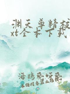 渊天尊精校版txt全本下载