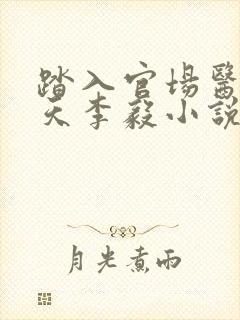 踏入官场医道问天李毅小说阅读