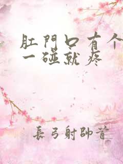 肛门口有个疙瘩一碰就疼