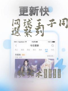 网球王子同人精选系列：结局+番外