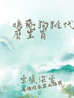 鸡飞狗跳代表什么生肖