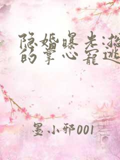 隐婚曝光:总裁的掌心宠逃婚了贺聿舟结局