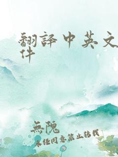 翻译中英文的软件