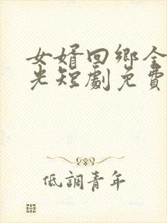 女婿回乡全村风光短剧免费