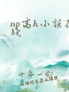 np高h小说在线