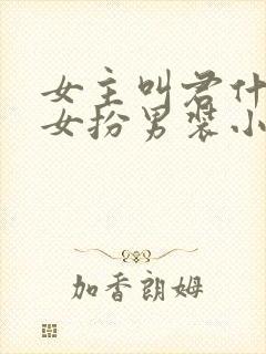 女主叫君什么的女扮男装小说