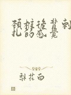 颈椎后背刺痛针扎的感觉