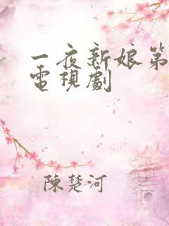 一夜新娘第二季电视剧