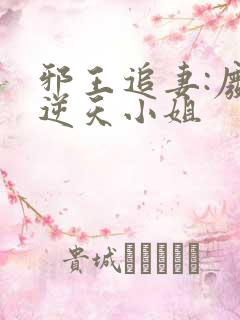 邪王追妻:废材逆天小姐