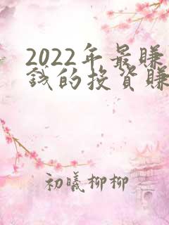 2022年最赚钱的投资赚快钱项目