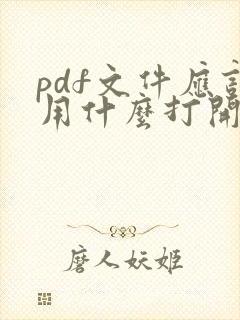pdf文件应该用什么打开