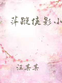 萍踪侠影小说