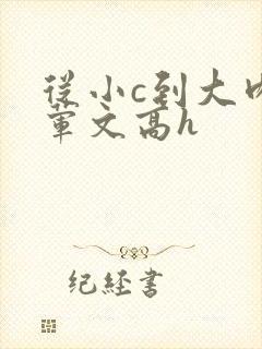 从小c到大肉多荤文高h