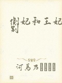 侧妃和王妃的区别