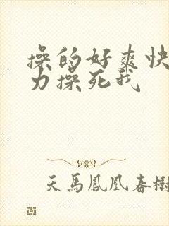 操的好爽快点用力操死我