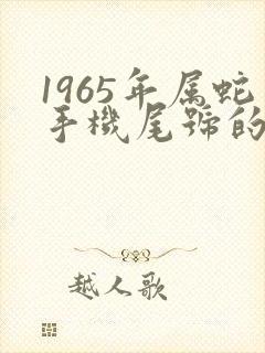 1965年属蛇手机尾号的吉祥号