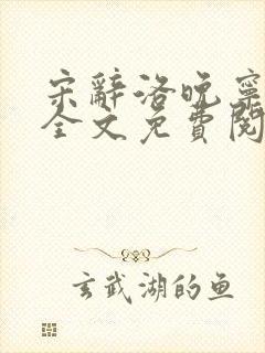 宋辞洛晚宁小说全文免费阅读