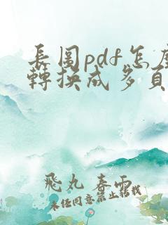 长图pdf怎么转换成多页pdf