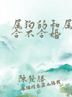 属狗的和属羊的合不合婚