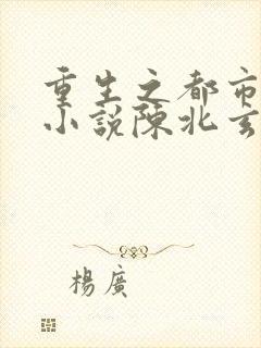 重生之都市修仙小说陈北玄