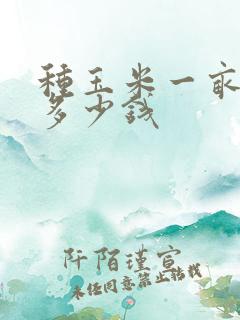 种玉米一亩地赚多少钱