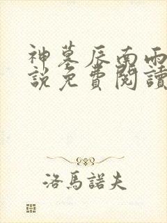 神墓辰南雨馨小说免费阅读无弹窗