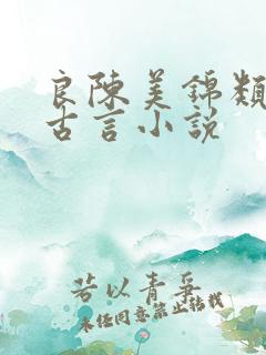 良陈美锦类似的古言小说