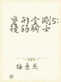 变形金刚5:最后的骑士