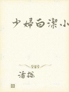 少妇白洁小说全