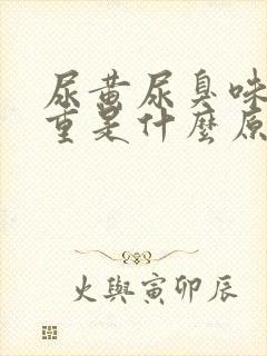尿黄尿臭味特别重是什么原因