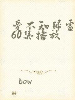 爱不知归处短剧60集播放