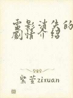 电影消失的爱人剧情介绍