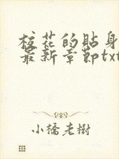 校花的贴身高手最新章节txt